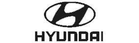 Hyundai haft